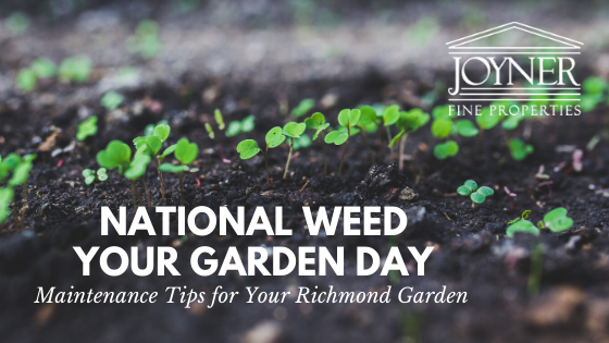 Weed Your Garden Day