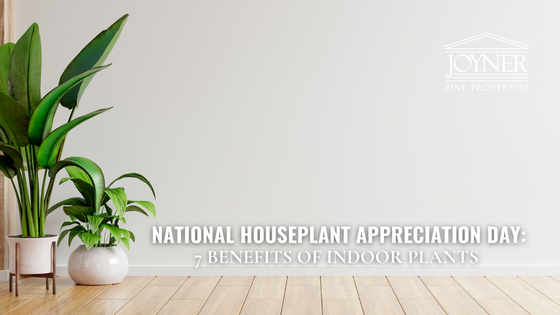 Houseplant Tips