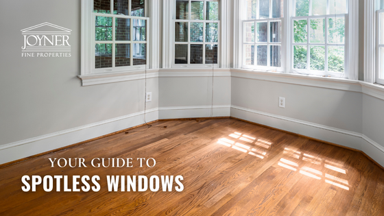 Spotless Windows